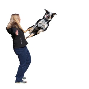Jake doing a trick with Laura LEDR Dog Training